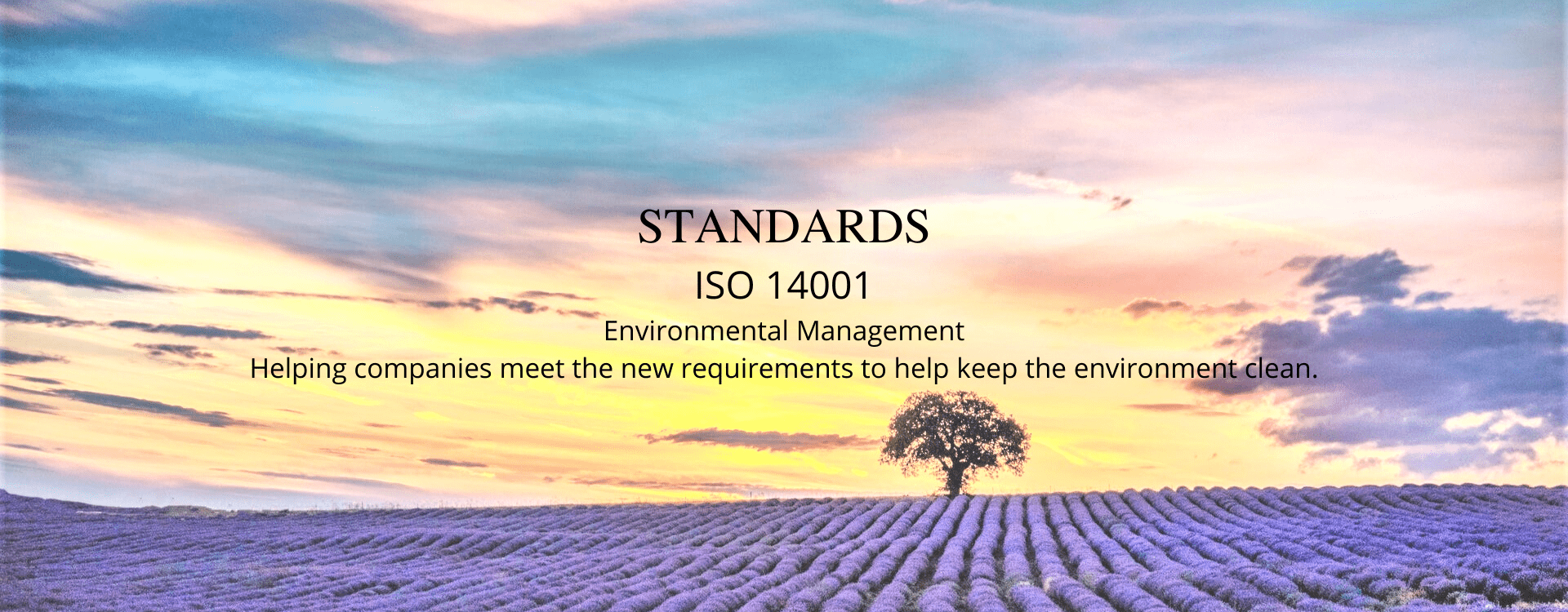 ISO 14001 Environmental Management Standard